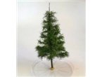 BSM Conifer tree 23-25cm