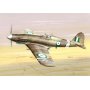 Special Hobby 48087 1/48 Fiat G-55A