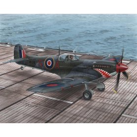 Special Hobby 48102 Seafire Mk.II Torch& Avalanche