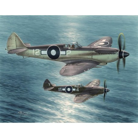 Special Hobby 48116 1/48 Seafire Mk. XV