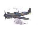 Special Hobby 1:48 Fairey Firefly I HOME E FLEET