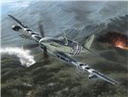 Special Hobby 1:48 Fairey Firefly Mk.4/5 KOREAN WAR