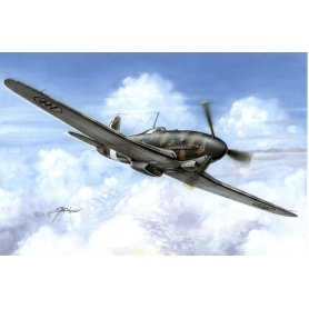 Special Hobby 72110 1/72 Fiat G.55 sottoserie 0
