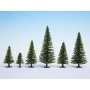 Model spruce, extra-high, 10 pieces, 16-19 cm high