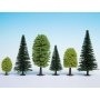 Mixed forest, 10 trees, 5 - 14 cm high