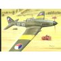 Fly 72037 IL-10 Post war service 1/72 ( Poland )