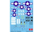 Techmod 1:48 Decals for Republic P-47 Razorback 