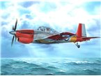 Special Hobby 1:72 Boulton Paul Sea Balliol T21