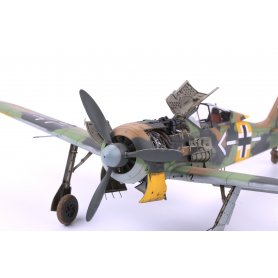 Eduard 1:48 Focke Wulf Fw-190A wczesna wersja ROYAL CLASS