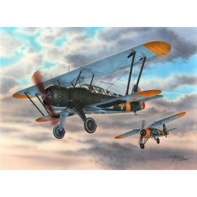 Special Hobby 72293 1/72 IAR-38