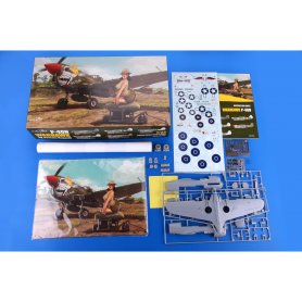 Eduard 1:32 Curtiss P-40N Warhawk