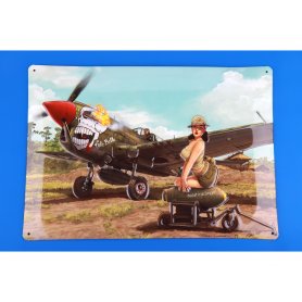 Eduard 1:32 Curtiss P-40N Warhawk