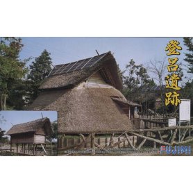 Fujimi 500683 Castle-22 Toro Remains