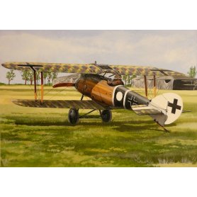 Fly 1:48 Roland D.VIA / Niemcy