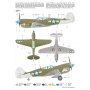 Special Hobby 72374 1/72 P-40 N