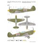 Special Hobby 72374 1/72 P-40 N