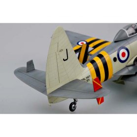 Trumpeter 1:48 Westland Wyvern S.4 late version 