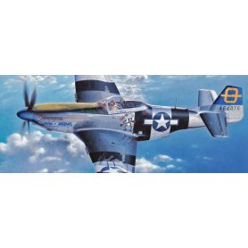 Hasegawa 1:72 North American P-51D Mustang