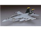 Hasegawa 1:48 F/A-18F Super Hornet