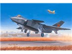 Trumpeter 1:72 J-20 Mighty Dragon 