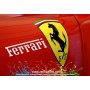ZERO PAINTS 1007 - Ferrari Rosso Formula 1 F60 '9