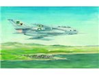 Trumpeter 1:48 Shenyang FT-6 Trainer / MiG-19