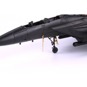Eduard F-15E ACADEMY
