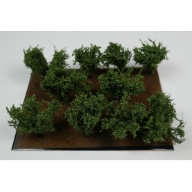 BSM Dzikie krzewy Wild Bushes 10szt.