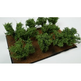 BSM Dzikie krzewy Wild Bushes 10szt.