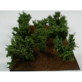 BSM Dzikie krzewy Wild Bushes 10szt.