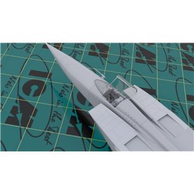 ICM 48904 Mig-25 RFB