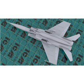 ICM 48904 Mig-25 RFB