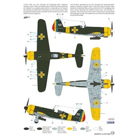 Special Hobby 1:32 IAR-81 BoPi