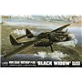 Lion Roar L4806 ( G.W.H.) P-61A Black Widow