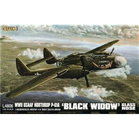 Lion Roar L4806 ( G.W.H.) P-61A Black Widow