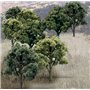 Woodland WTR1572 3-5In Green Decid Trees 14/Pkg