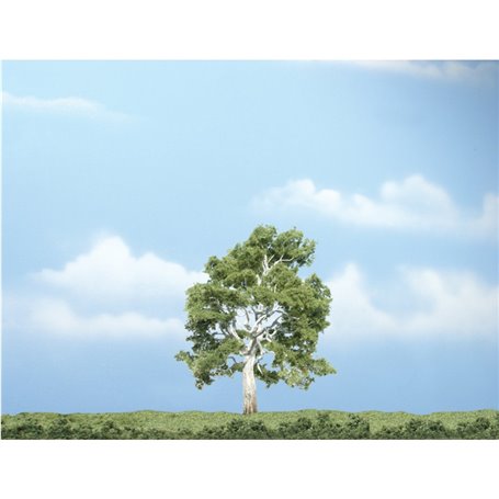 Woodland WTR1609 4" Sycamore Tree 1/Pkg