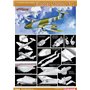 Dragon Cyber Hobby 5084 1/72 Gloster Meteor