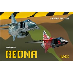Eduard 1:48 BEDNA / SPECIAL EDITION 