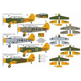 RS Models 92228 NAA-57 P-2 "Luftwaffe services"