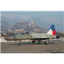 Italeri 1420 1/72 F-5E Swiss Air Force