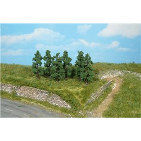 Heki Drzewa - Grusza 6 cm, 6 szt.