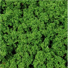 Heki 1695 Pianka gruba zielona - 500ml
