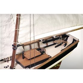 Swift 1805