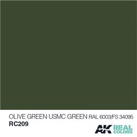 AK Interactive REAL COLORS RC209 Olive Green / USMC Green - RAL 6003 - FS34095 - 10ml