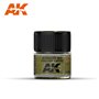 AK Real Colors RC333 Ki Midori Iro (Yellow-Green) 10ml