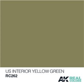 AK Real Colors RC262 US Interior Yellow Green 10ml