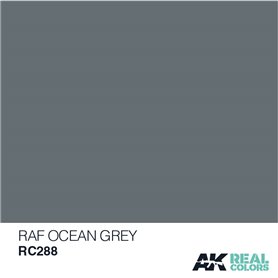 AK Real Colors RC288 RAF Ocean Grey - 10ml