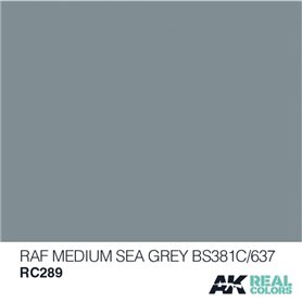 AK Real Colors RC289 RAF Medium Sea Grey BS381C/637 - 10ml