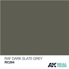 AK Interactive REAL COLORS RC294 RAF Dark Slate Grey - 10ml